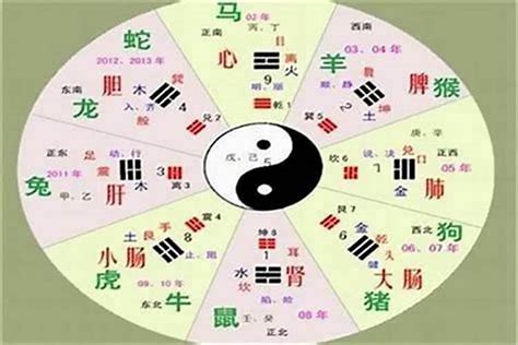 惠的五行|惠字的五行属性